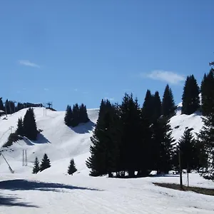 chalet-montagne-11-p-grand-massif-100-m-telecabine.hotels-rhonealpes.com/